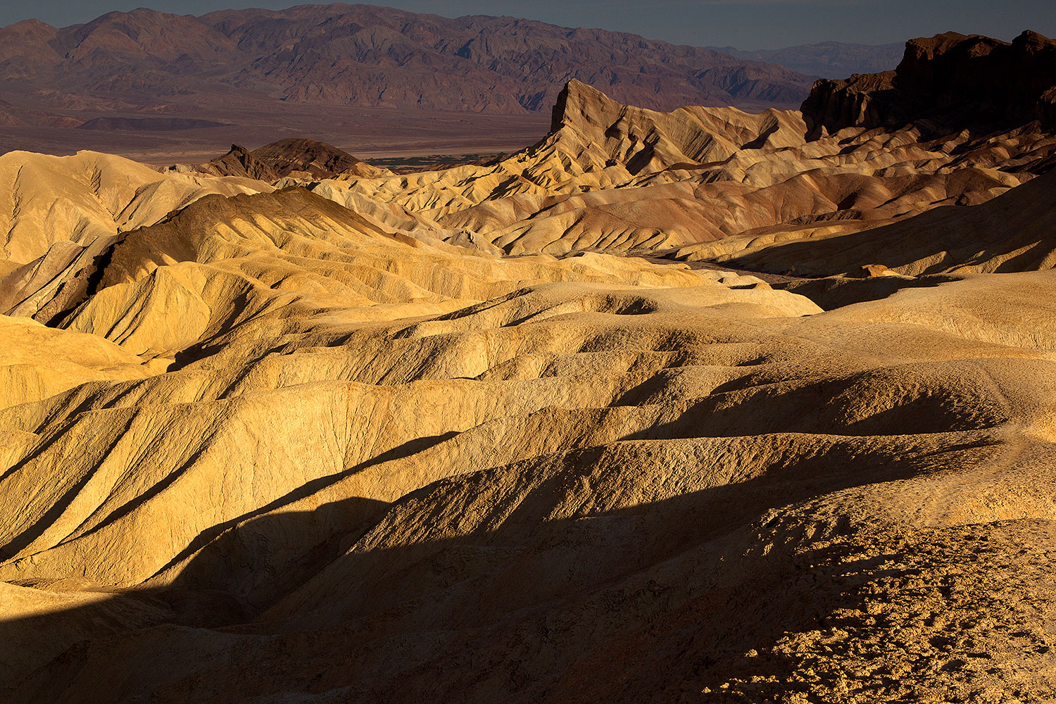 2011-05-31-dv-zabriskie-74636