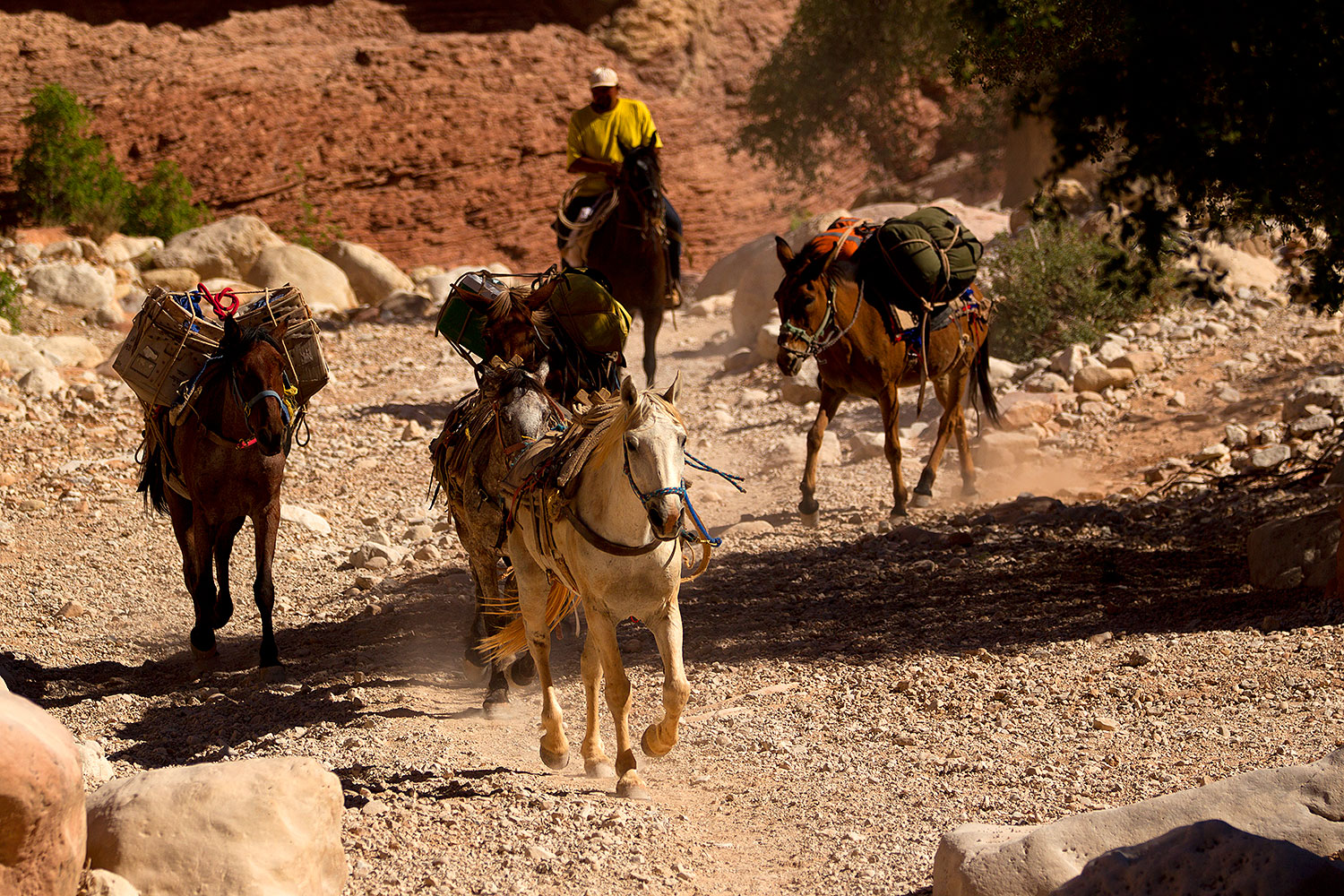 2011-06-24-havasu-canyon-78900