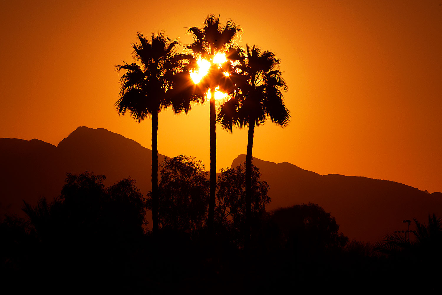 2012-01-19-havasu-sunrise-140089