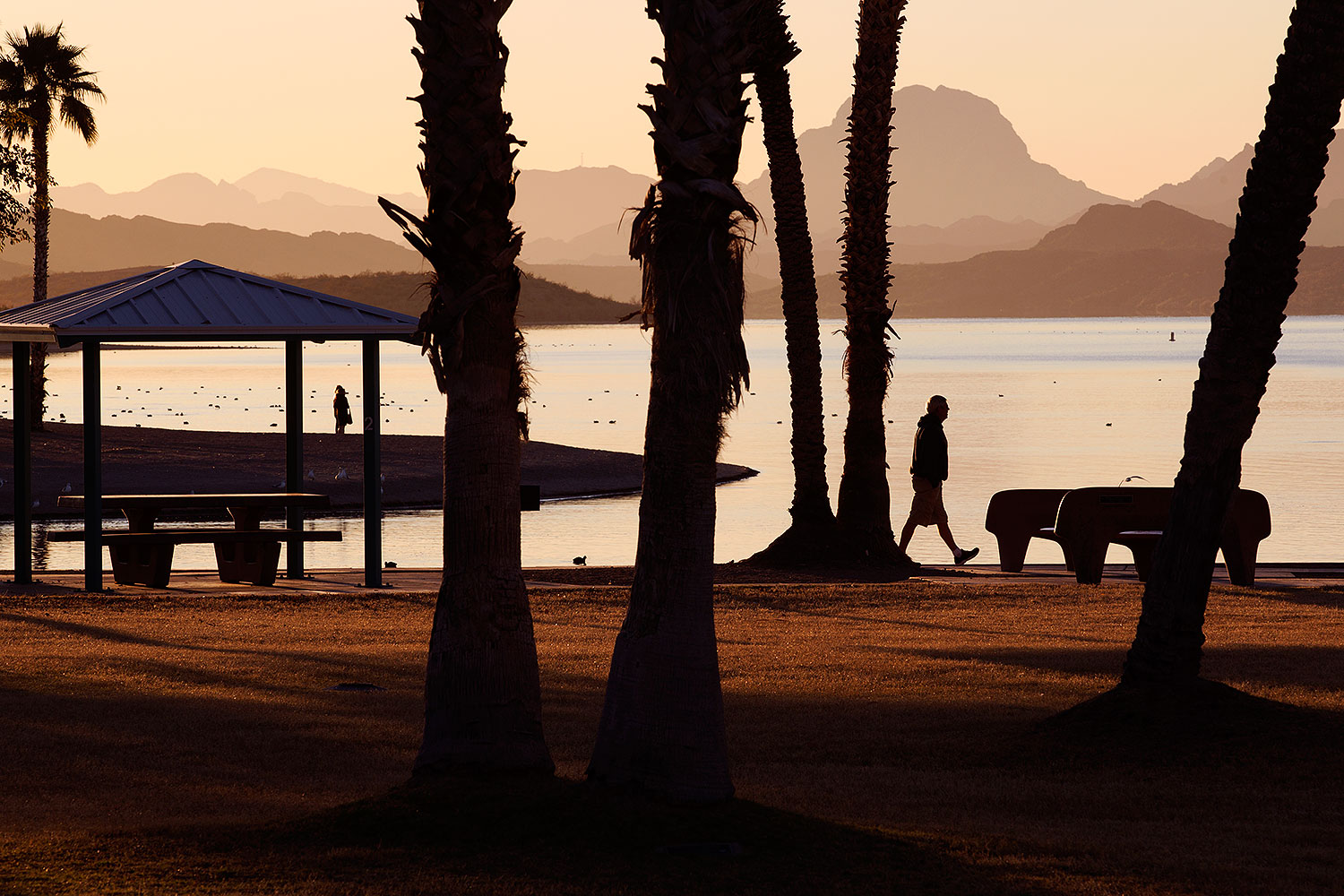 2012-01-19-havasu-sunrise-walk-140136