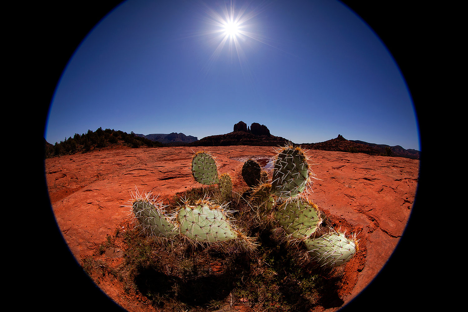 2012-04-16-sedona-waterholes-5d2_0901