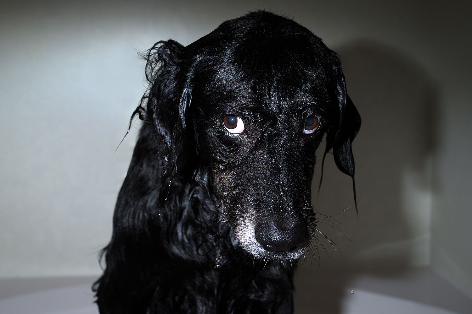 2013-04-28-dudley-shower-37335