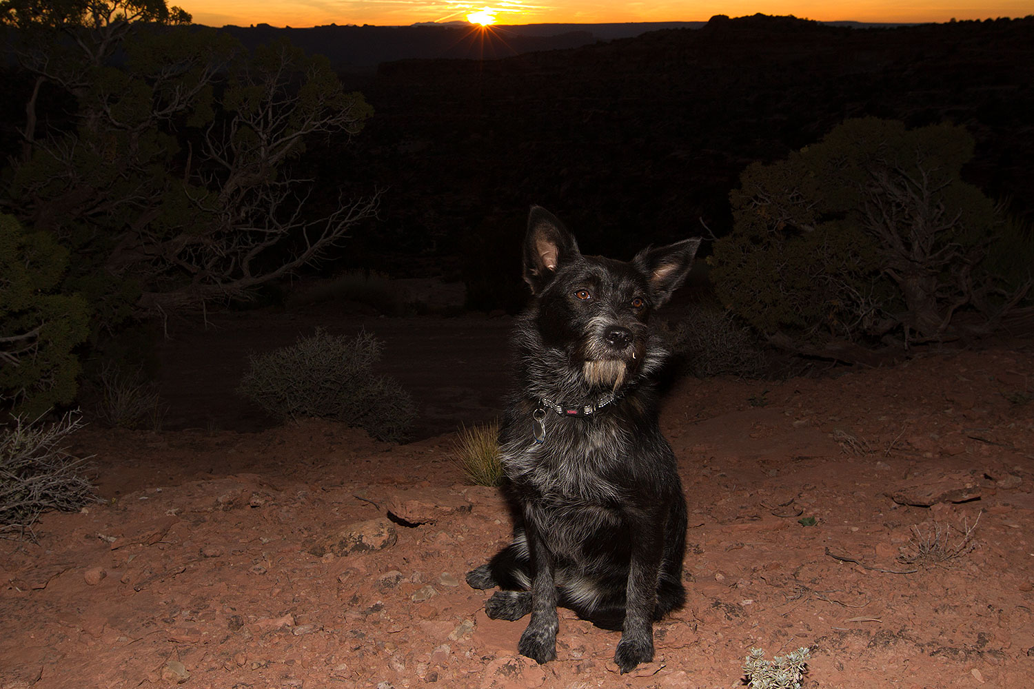 2013-11-08-moab-mtns-kiera-1d4_4392