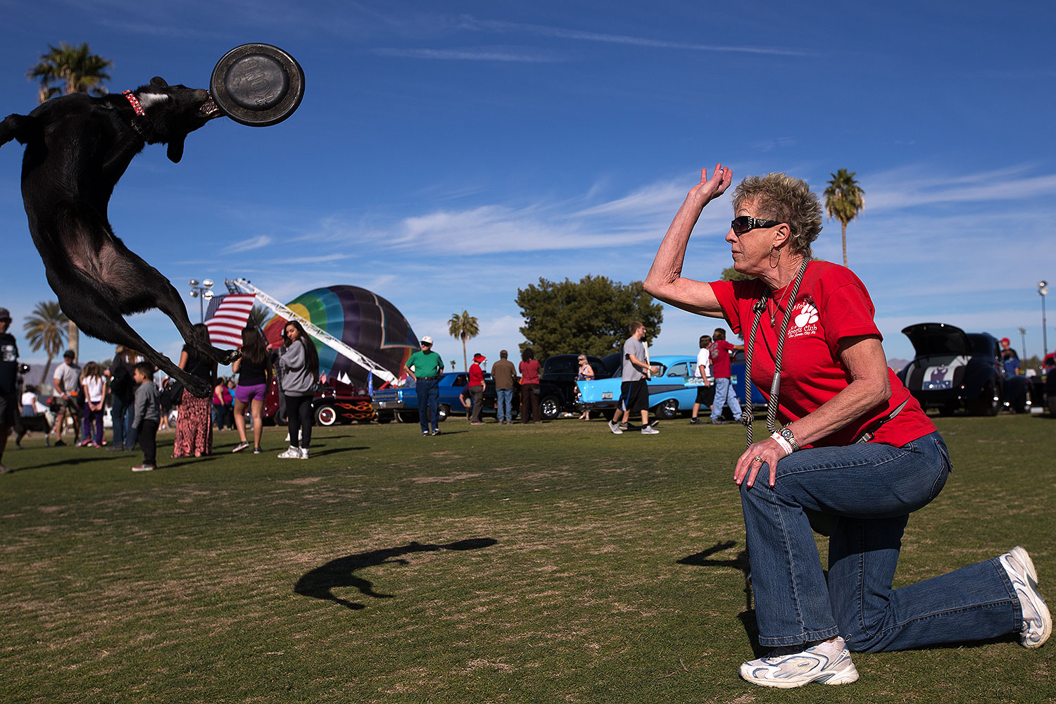 2014-01-19-havasu-dogs-1dx_8249