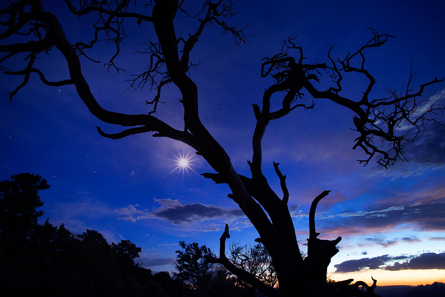 2014-07-03-gc-dview-starburst-1dx_1066