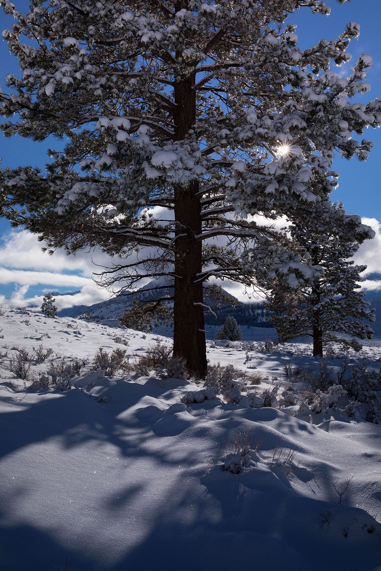2017-01-13-sierra-lookout-5d4_1134v