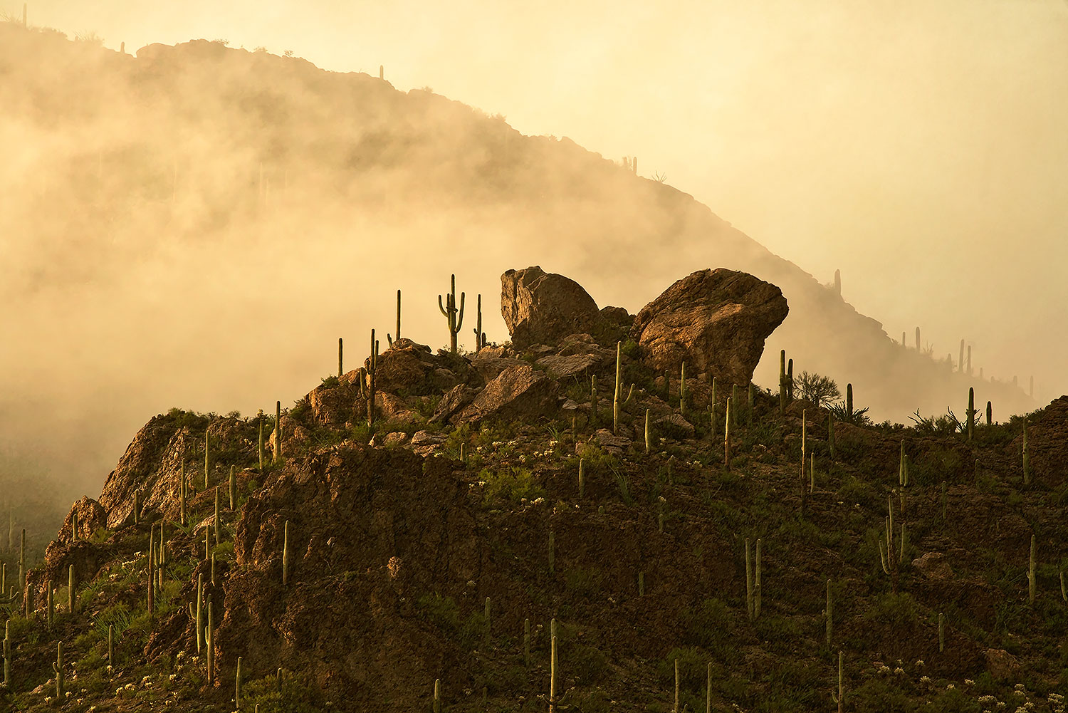 2017-07-22-tucs-mtns-fog-a7r2_00459