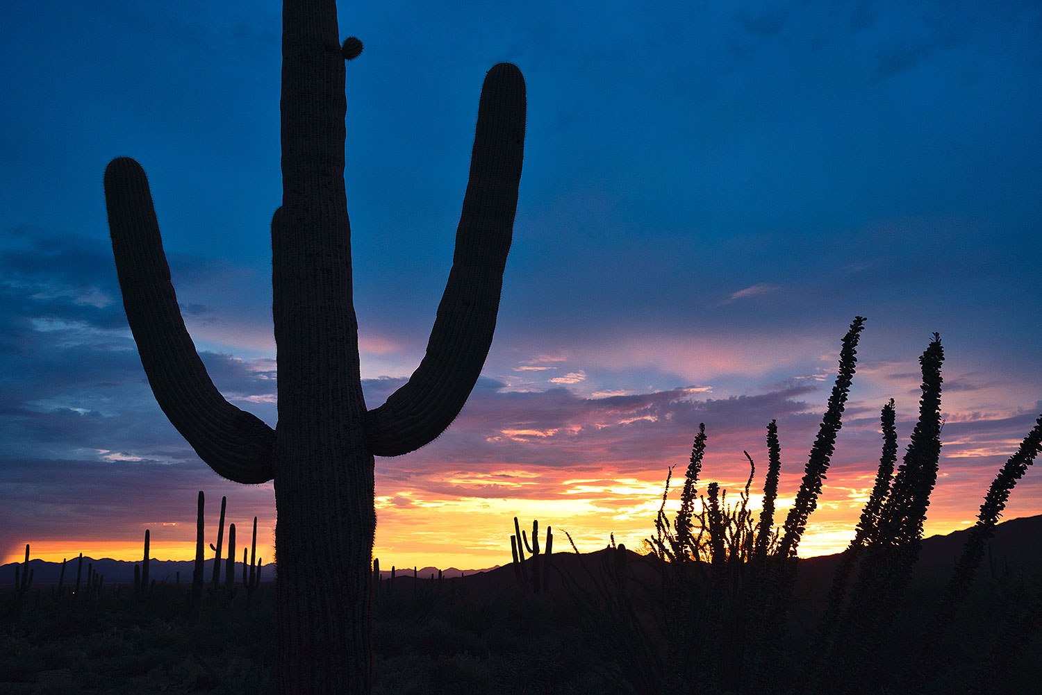 2017-07-27-tuc-mtns-sunset-a7r2_00776