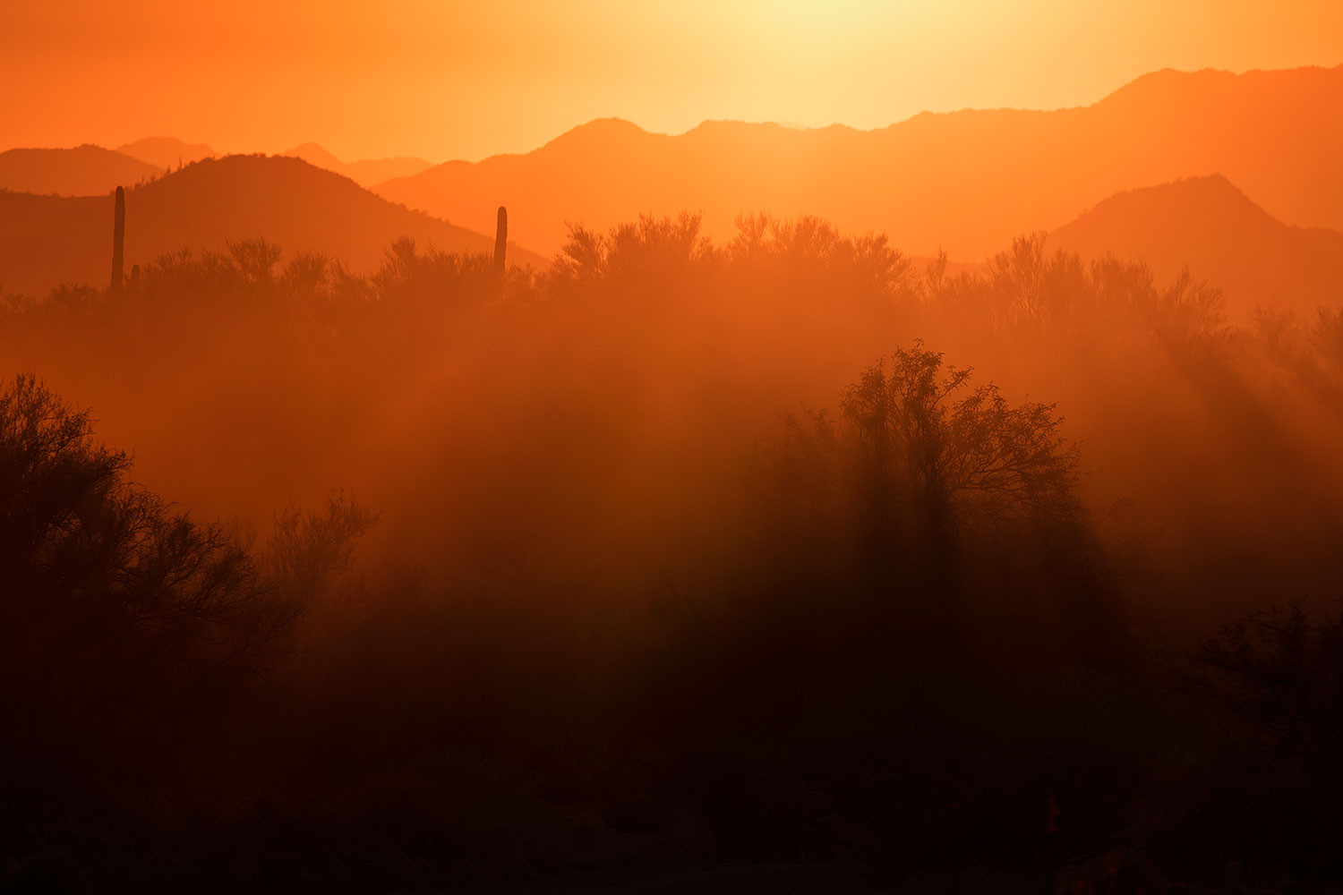 2017-10-23-4peaks-set-dust-a7r2_06044