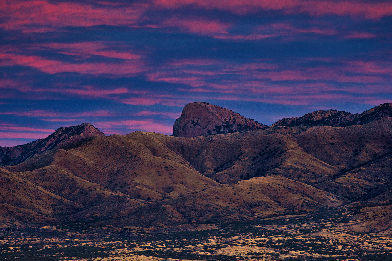 2020-01-09-santa-rita-a7r3_21001