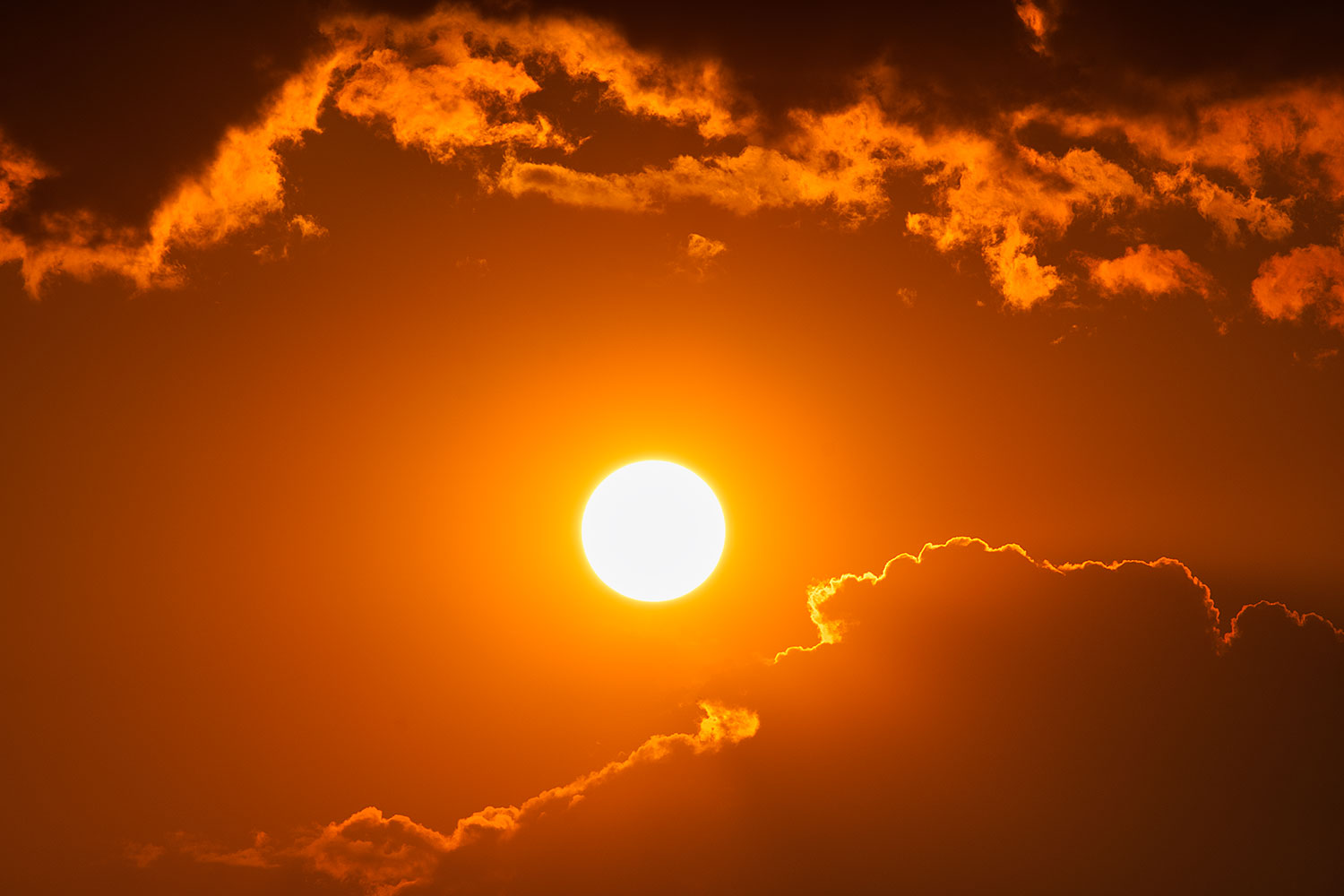 2020-08-25-gv-sun-a7r3_31262